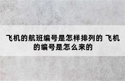 飞机的航班编号是怎样排列的 飞机的编号是怎么来的